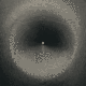 TIMESTAMPS•CHIAMPO•VII logo