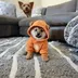 DOG•GO•TO•THE•MOM logo
