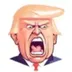 DOLNAD•TRUMP logo