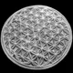 SILVER•SATOSHI logo