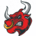 BIGGEST•BULL•RUN•EVER logo