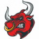 BIGGEST•BULL•RUN•EVER logo