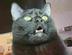 BINX•HELL•MONEY•CAT logo