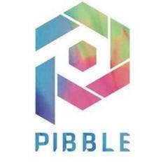 Pibble Token logo