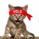 You Only Live Once logo