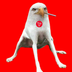 Smoking Eagle Dog logo