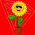 SUNFLOWER logo