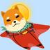 Sun Dawgz logo