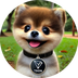 MISHA the pup logo