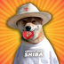 Crypto Sun Shiba logo