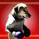 XIAO THE BOXER logo