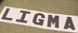 LIGMA logo