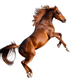 Tron Horse logo