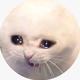 sadcat logo