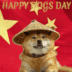 Sun Doge logo