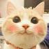 The smiling cat logo