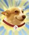 SUNDOG logo