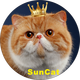 Suncat logo