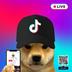 dogwiftiktok logo
