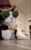Hustler Cat logo