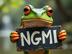 NGMI logo