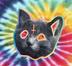 Real Tron Cat logo