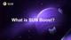 SUN Boost  logo