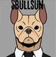 Bull Sun logo