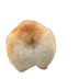 money logo
