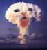 Nuclear cat logo