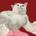 Dance Cat logo