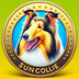 SunCollie logo
