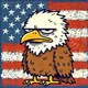HAWKY logo