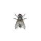 Watch this fly logo