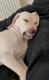 Sleep logo
