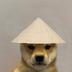 dogwifhat logo