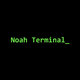 Noah Terminal logo