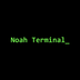 Noah Terminal logo