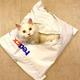 Fedex Cat logo