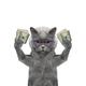 CATWIFCASH logo