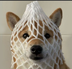 WRAPPED DOGE logo