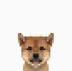 Tokenized Dog logo