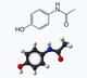 PARACETAMOL logo