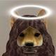 Dog Wif Jesus logo