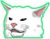 DOGECAT logo
