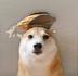 turban dog logo