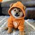 BTCDOG logo