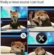 doge media logo