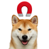 Magnet Dog⠀⠀⠀⠀⠀⠀⠀⠀⠀⠀⠀⠀⠀⠀⠀⠀⠀⠀⠀⠀⠀⠀⠀⠀⠀⠀⠀⠀⠀⠀⠀⠀⠀⠀⠀⠀⠀6BXhYZY5tssxychfFFBftQuFTukRAzbbLZsyQQPbpump logo