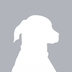 Satoshi's Dog  logo